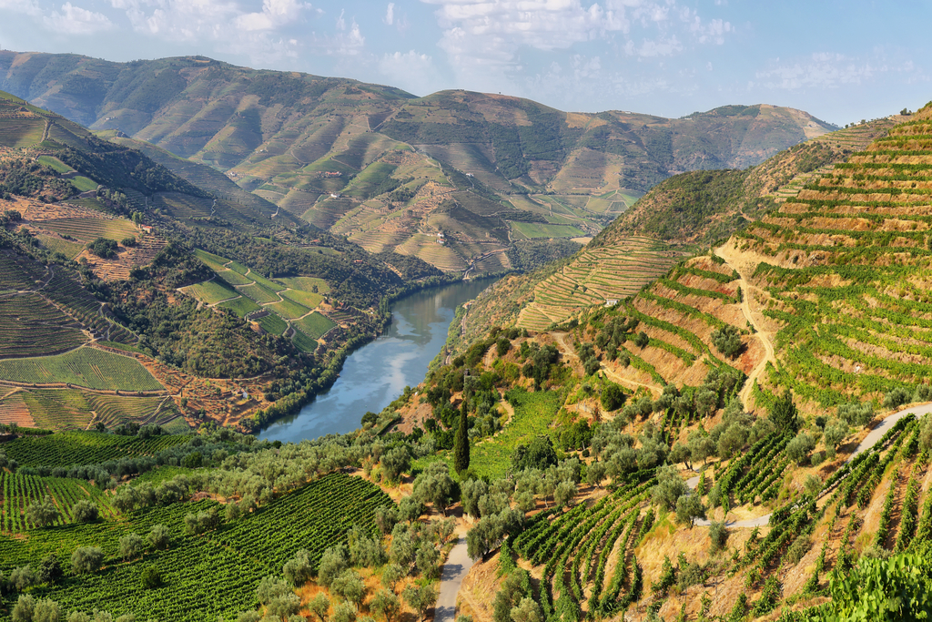 Scenic,View,Of,Alto,Douro,Vinhateiro,,Tua,Valley,In,Portugal.