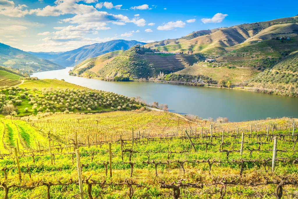 Douro,Wine,Valley,With,Wineyards,,Portugal,,Unesco,World,Heritage,Site