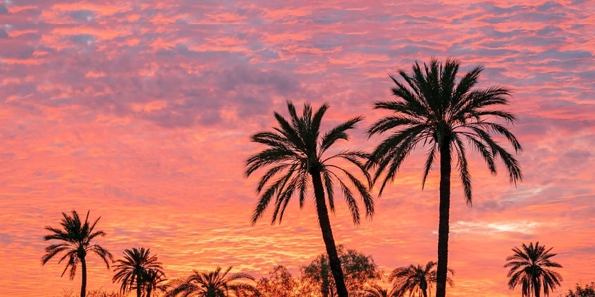 Marrakech On & Off the Screen