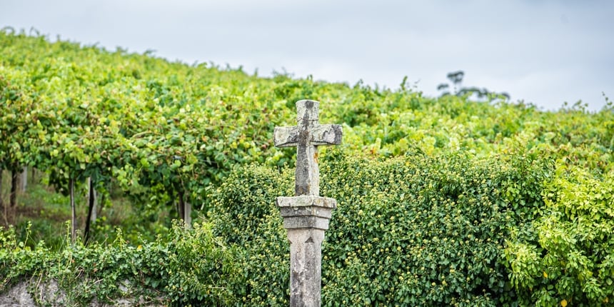 Rías Baixas — Albariño Beside the Atlantic