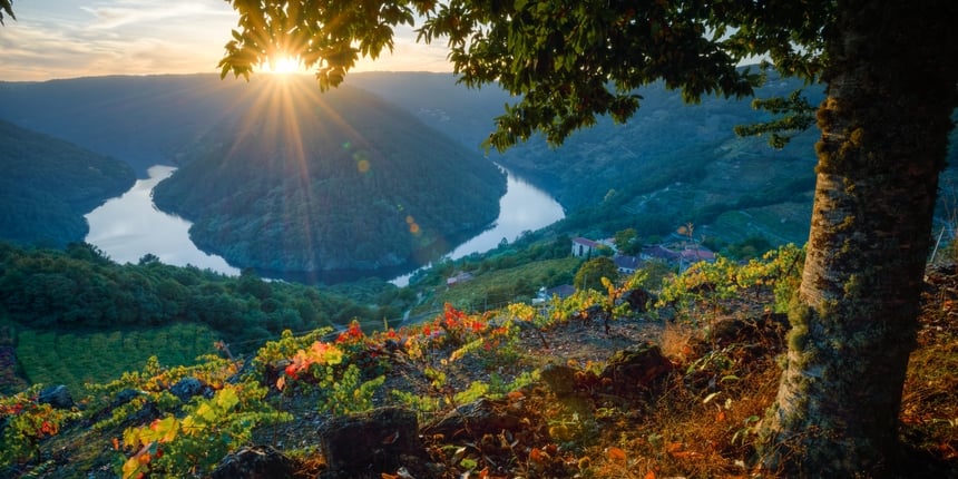 Ribeira Sacra — Heroic Vineyards Above the Rivers
